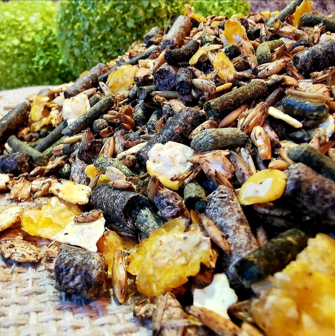MUSLI BASIS - v-korma